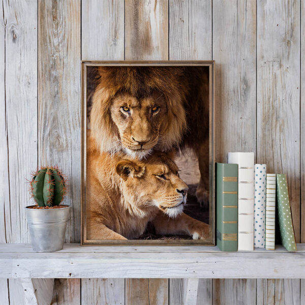 Quadro Leão