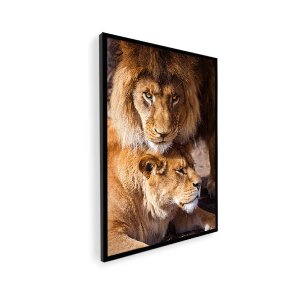 Quadro Família de Leões