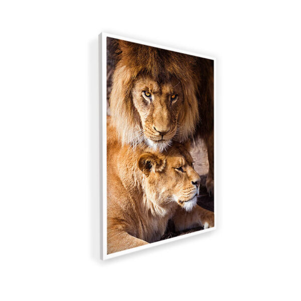 Quadro Família de Leões