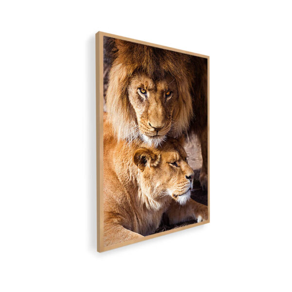 Quadro Família de Leões