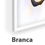 Branca
